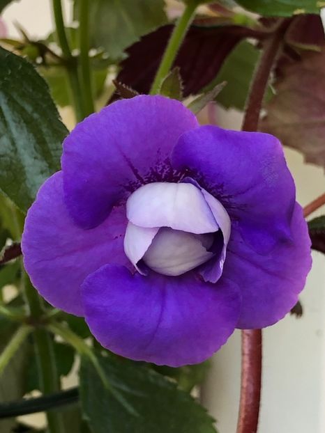 66CE4930-3D89-4D8A-B7D8-0F064867D9A1 - Illya Melnyk - S Saliba