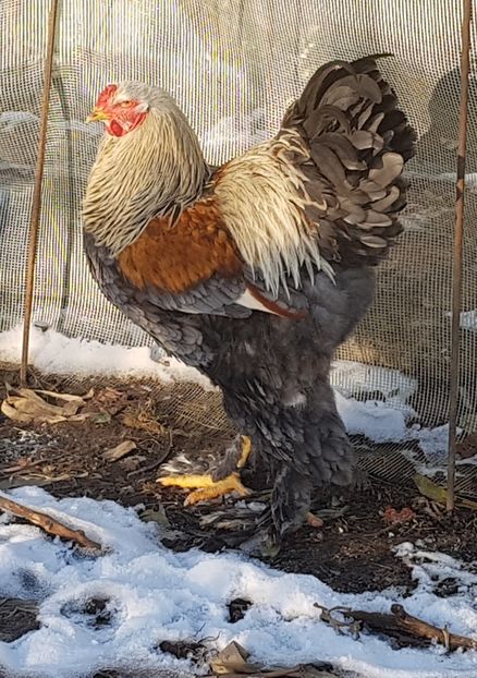  - E_ M A T C A 2 0 1 9