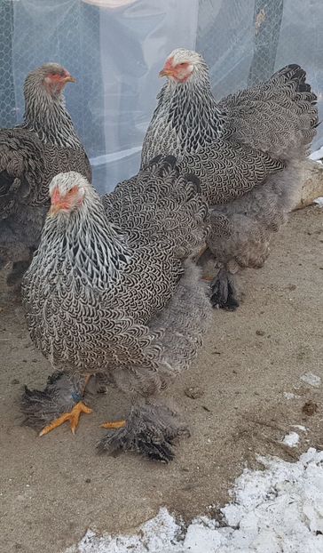  - E_ M A T C A 2 0 1 9