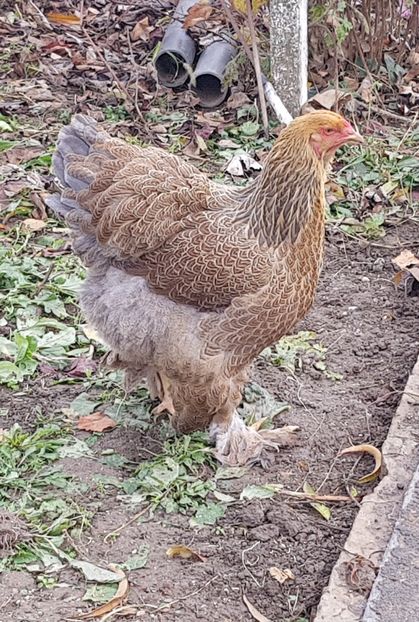  - E_ M A T C A 2 0 1 9