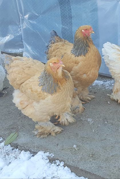  - E_ M A T C A 2 0 1 9