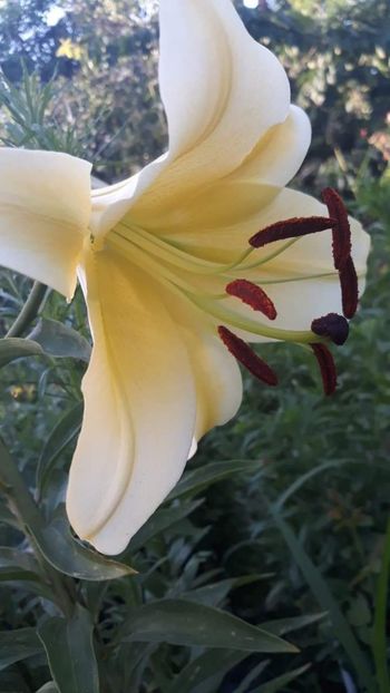 received_327220061531475 - Crini