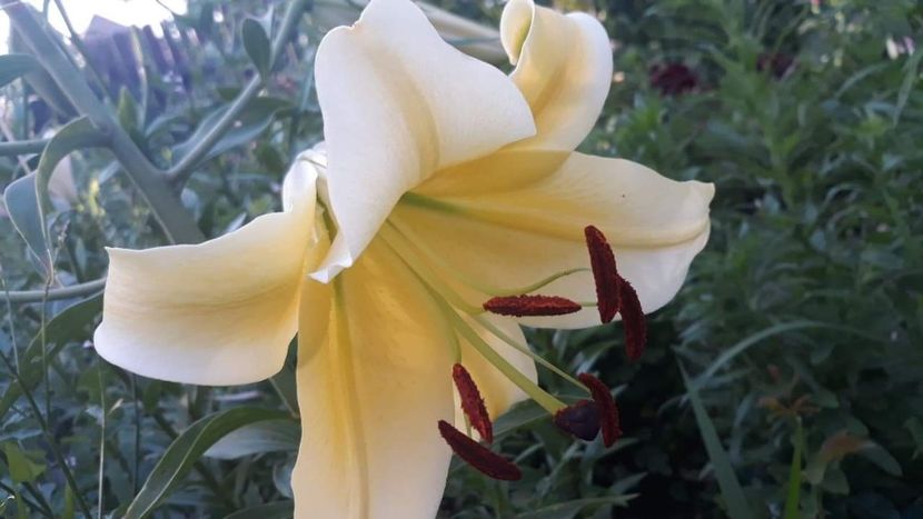 received_416794355578281 - Crini