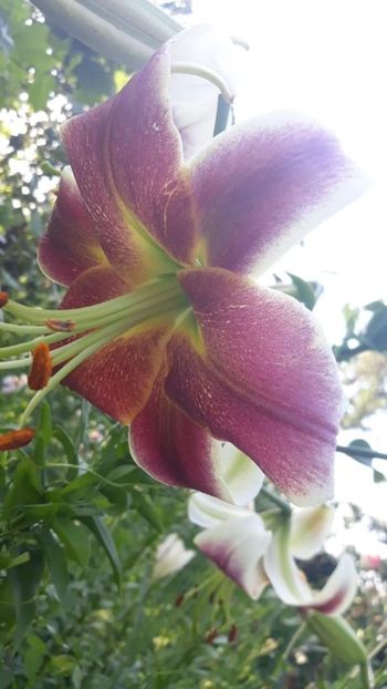 received_705918889866966 - Crini