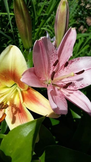 received_1331705063669363 - Crini