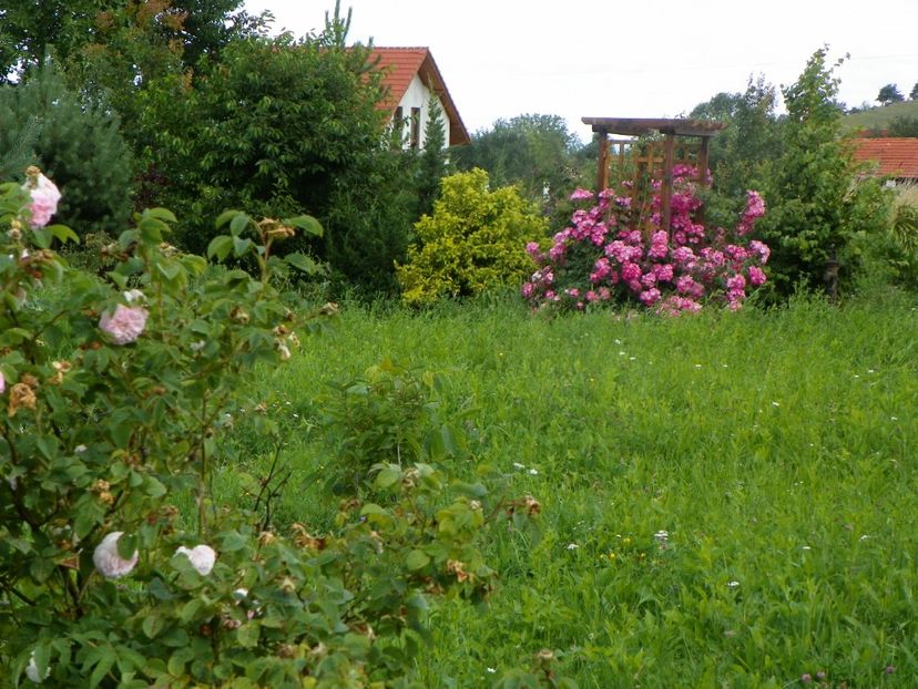 29 iun (46) - Dobarland 2019 3