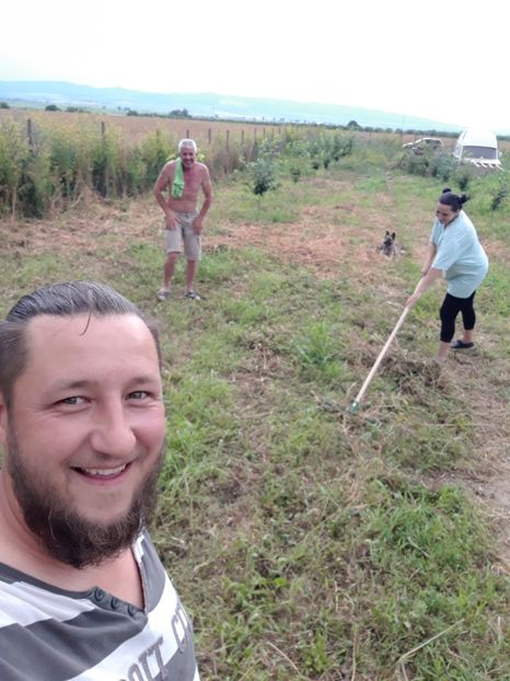  - Livada 1 anul ll 2019