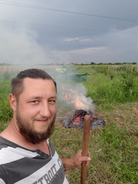  - Livada 1 anul ll 2019