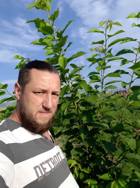  - Livada 1 anul ll 2019