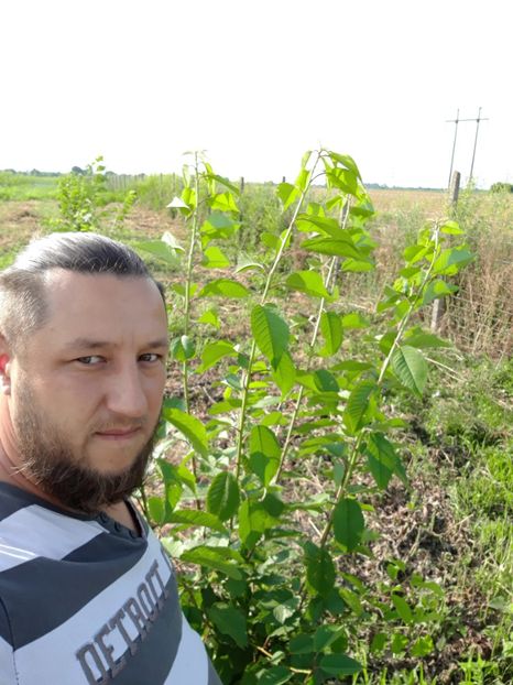  - Livada 1 anul ll 2019