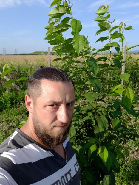  - Livada 1 anul ll 2019