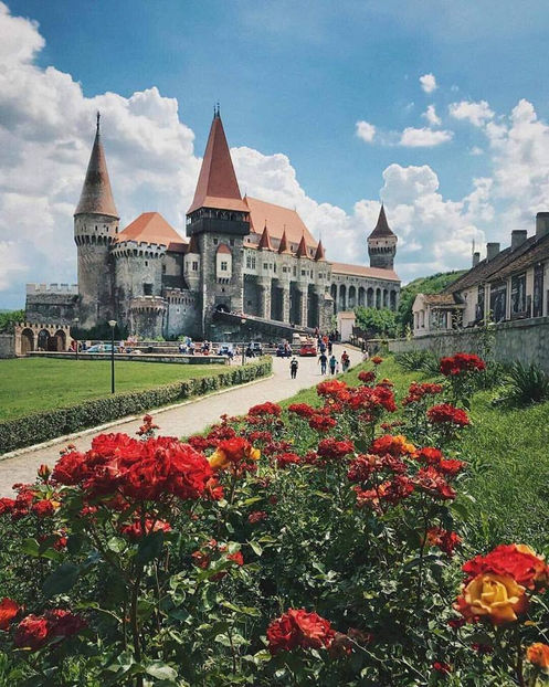 Castel Hunedoara - Simboluri