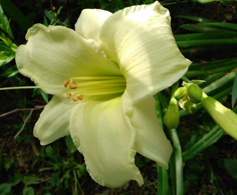 received_401868377337756~2 - Mosel