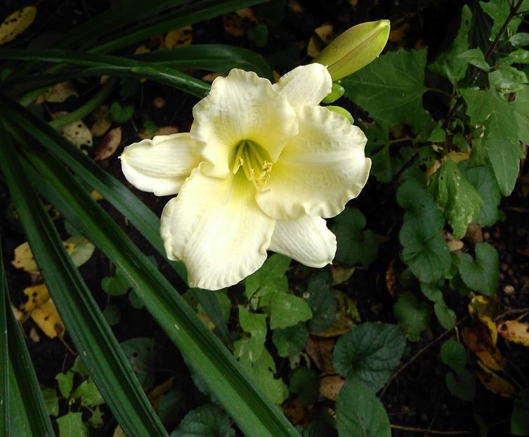 received_2362930197131106~2 - Mosel