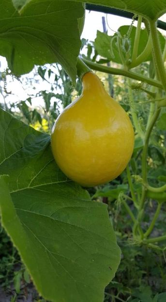 received_2835859956639765 - 30iunie2019