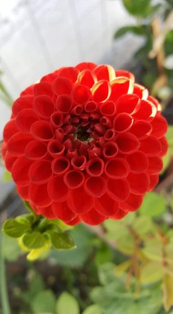 received_2322542737832969 - 30iunie2019