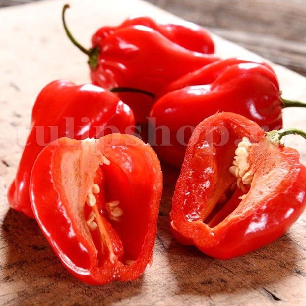 Seminte ardei iute Habanero Red 30buc. - Seminte legume Dec 2019