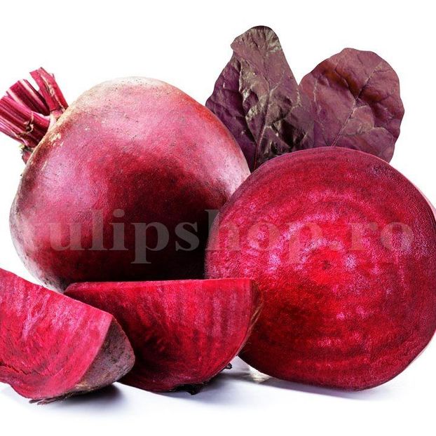 Seminte sfecla Bull's Blood 300buc. - Seminte legume Dec 2019