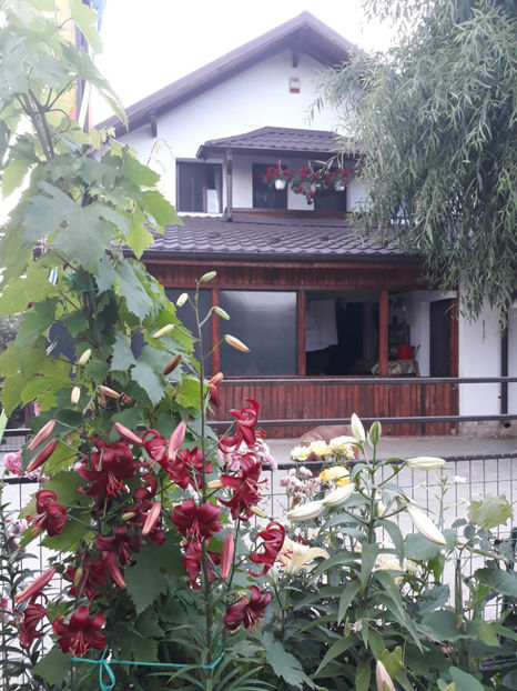  - 1 CASUTA DIN POVESTI SI GRADINA IUNIEI