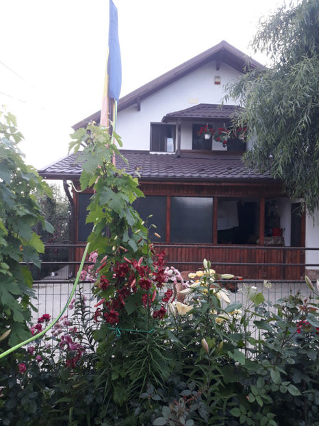  - 1 CASUTA DIN POVESTI SI GRADINA IUNIEI