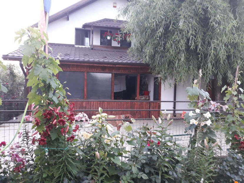  - 1 CASUTA DIN POVESTI SI GRADINA IUNIEI