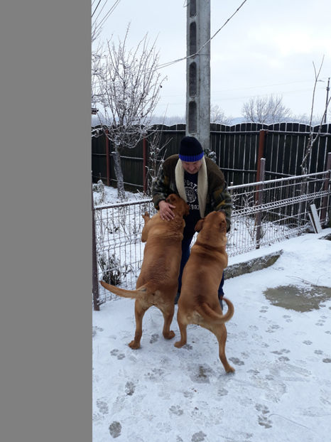  - 1 CATELUSELE NOASTRE