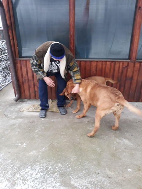  - 1 CATELUSELE NOASTRE