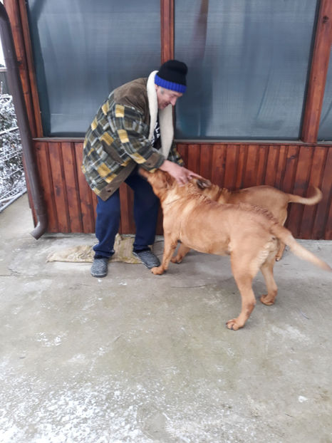  - 1 CATELUSELE NOASTRE