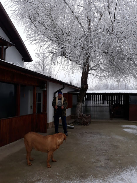  - 1 CATELUSELE NOASTRE