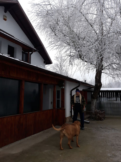  - 1 CATELUSELE NOASTRE