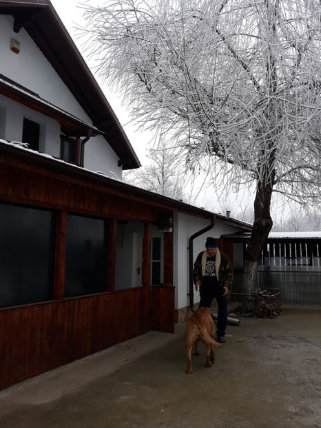  - 1 CATELUSELE NOASTRE