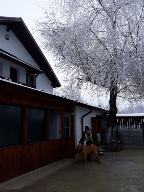  - 1 CATELUSELE NOASTRE