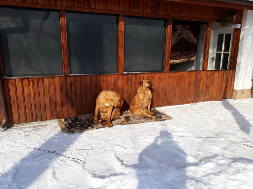  - 1 CATELUSELE NOASTRE