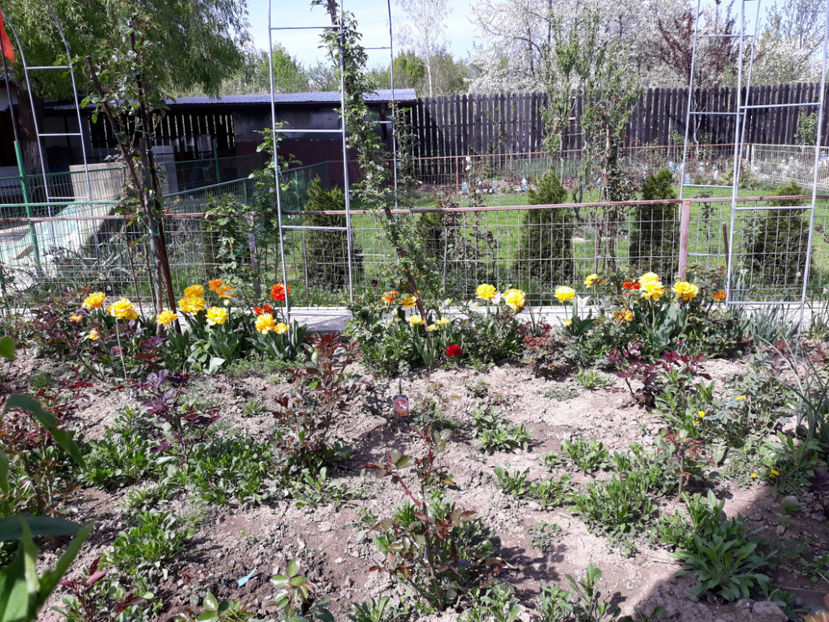  - 1 CASUTA DIN POVESTI SI GRADINA IUNIEI