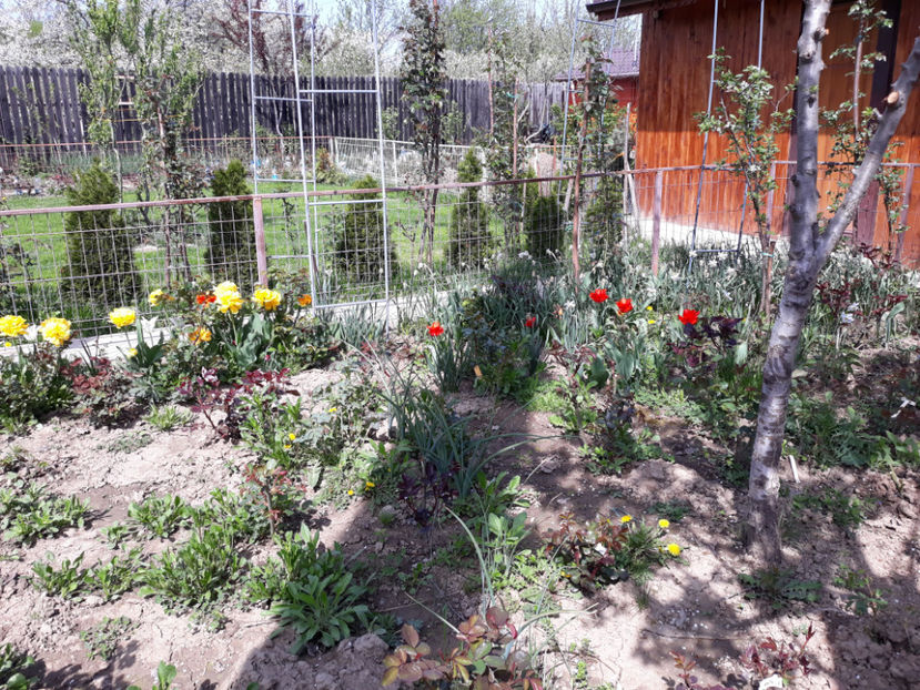  - 1 CASUTA DIN POVESTI SI GRADINA IUNIEI