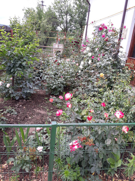  - 1 CASUTA DIN POVESTI SI GRADINA IUNIEI