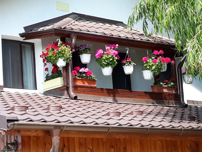  - 1 CASUTA DIN POVESTI SI GRADINA IUNIEI