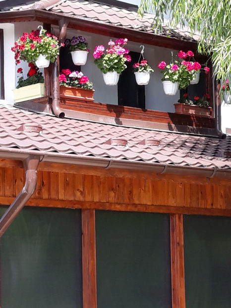  - 1 CASUTA DIN POVESTI SI GRADINA IUNIEI