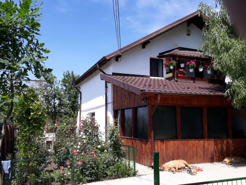  - 1 CASUTA DIN POVESTI SI GRADINA IUNIEI