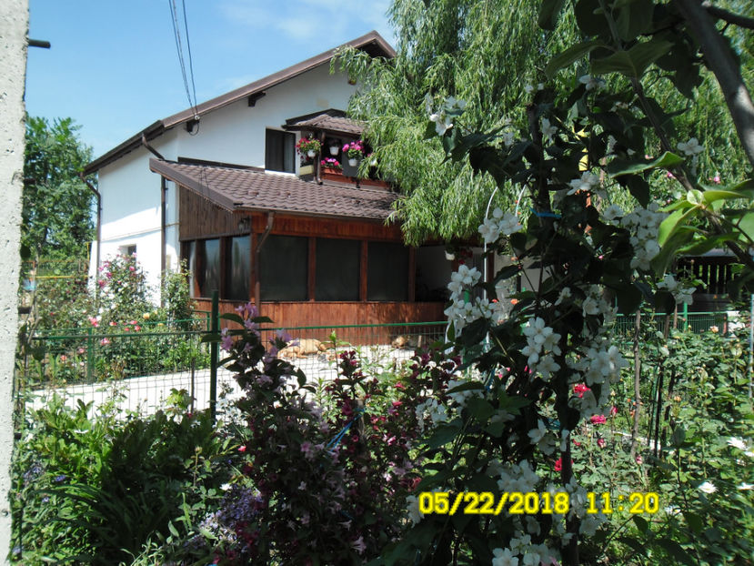  - 1 CASUTA DIN POVESTI SI GRADINA IUNIEI