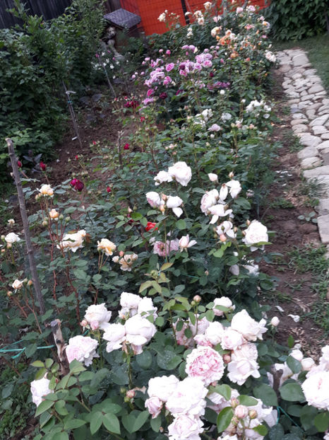  - 1 CASUTA DIN POVESTI SI GRADINA IUNIEI