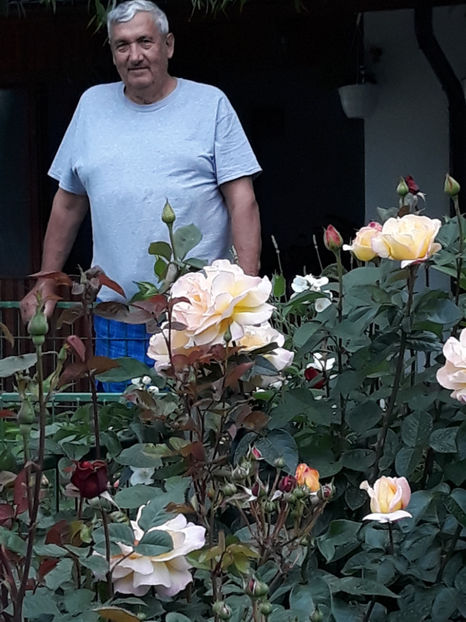  - 1 CASUTA DIN POVESTI SI GRADINA IUNIEI