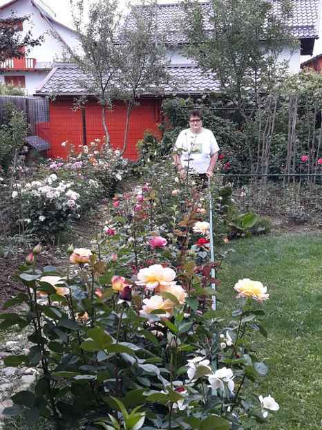  - 1 CASUTA DIN POVESTI SI GRADINA IUNIEI