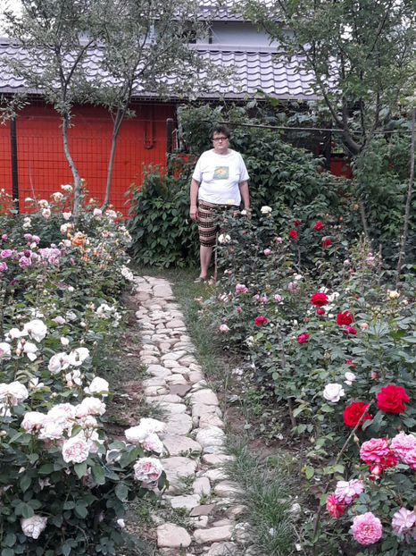  - 1 CASUTA DIN POVESTI SI GRADINA IUNIEI