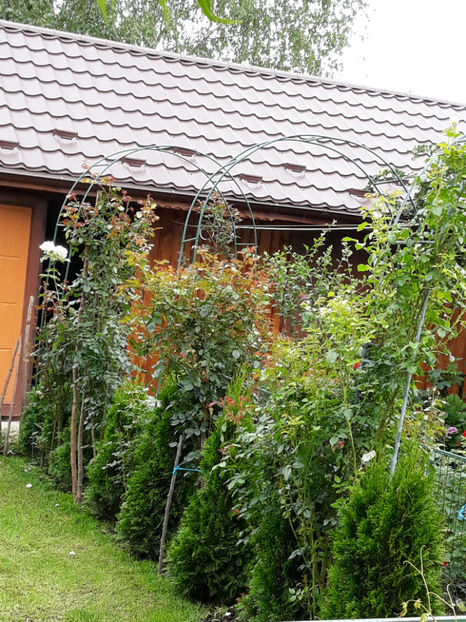  - 1 CASUTA DIN POVESTI SI GRADINA IUNIEI