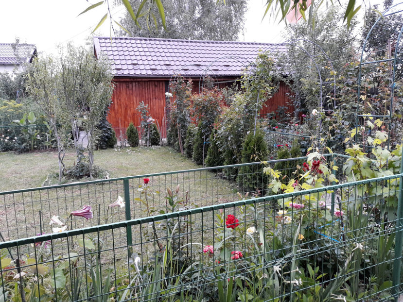  - 1 CASUTA DIN POVESTI SI GRADINA IUNIEI