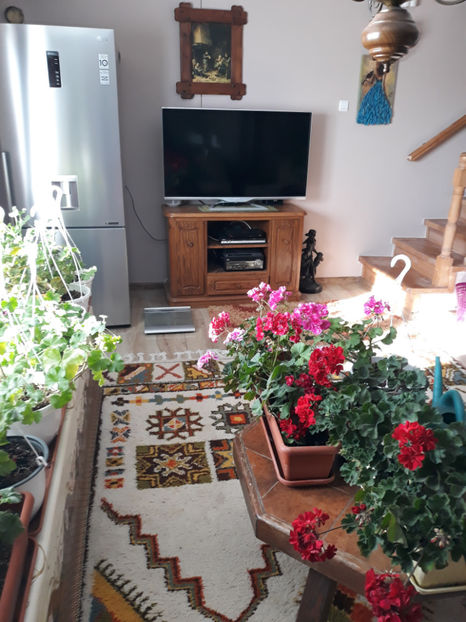  - 1 CASUTA DIN POVESTI SI GRADINA IUNIEI