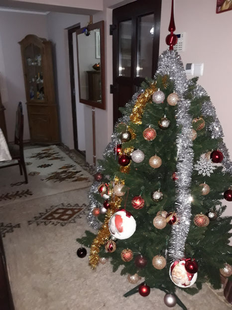  - 1 CASUTA DIN POVESTI SI GRADINA IUNIEI