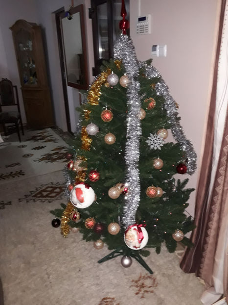  - 1 CASUTA DIN POVESTI SI GRADINA IUNIEI