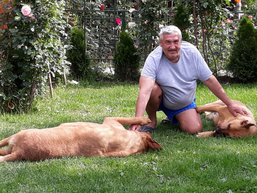  - 1 CATELUSELE NOASTRE